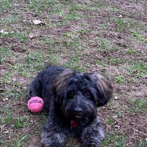 Meet your Posher, Ladonna